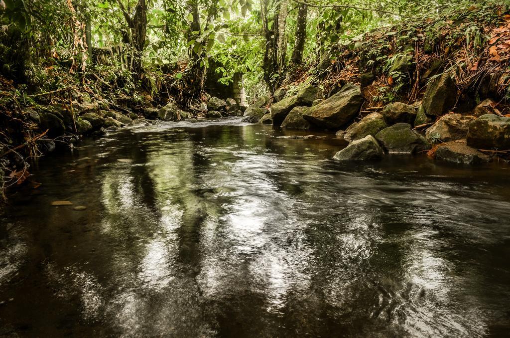 Hostel Rio Danta La Fortuna Екстериор снимка